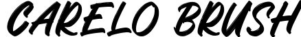 Carelo Brush