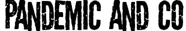 Pandemic&co