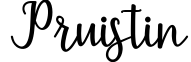Pruistin