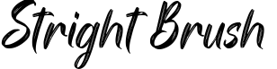 Stright Brush