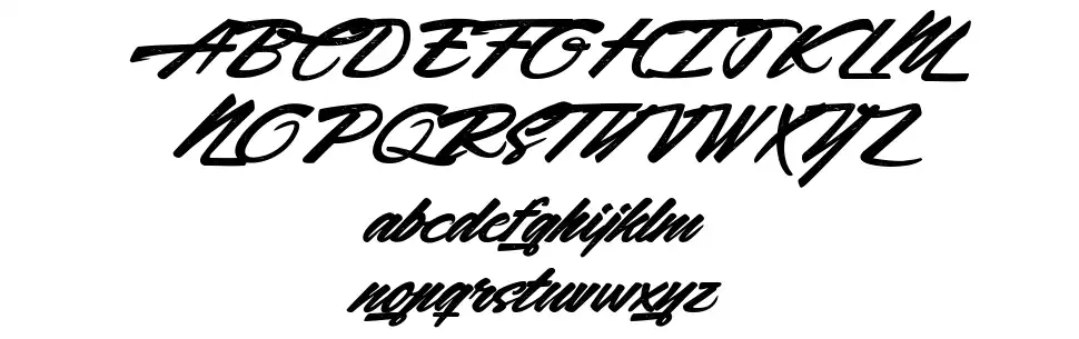 Acceleration & Reactionfont specimens