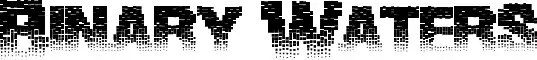Binary Waters