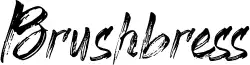Brushbress