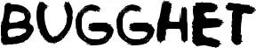 Bugghet