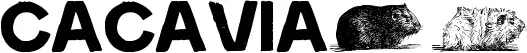 Cacavia01