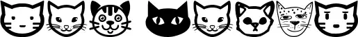 Cat Faces