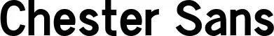 Chester Sans