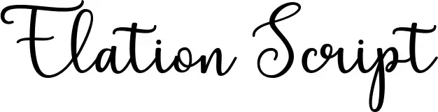 Elation Script