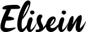 Elisein