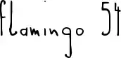 Flamingo 54