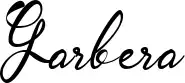 Garbera
