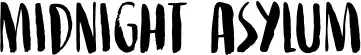 Midnight Asylum