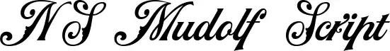 NS Mudolf Script