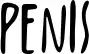 Penis