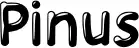 Pinus