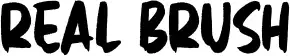 Real Brush