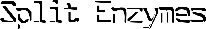 Split Enzymes