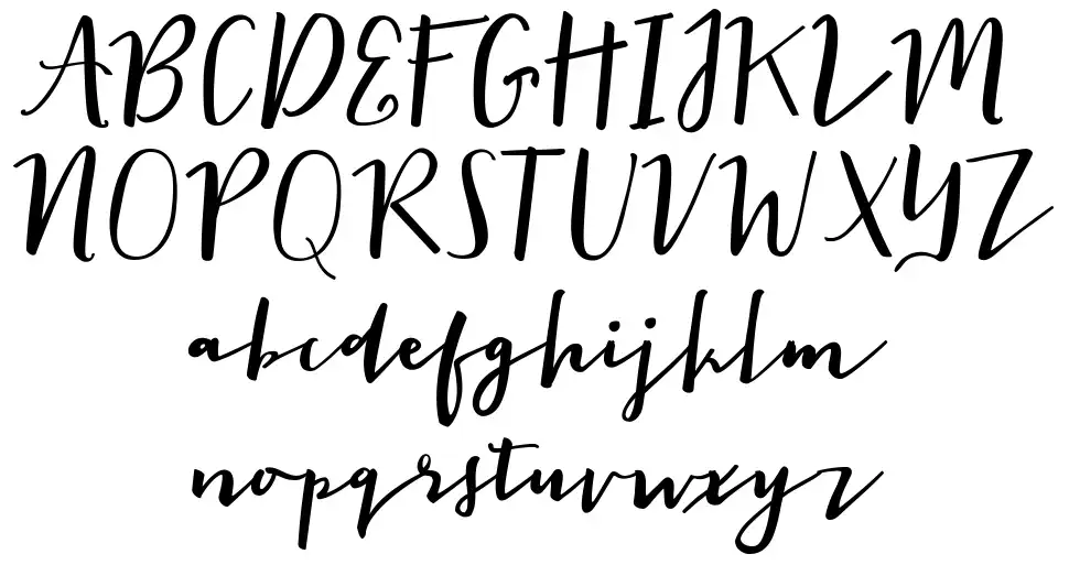 The Signerfont specimens