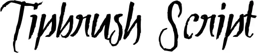 Tipbrush Script