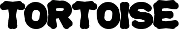 Tortoise