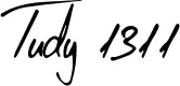 Tudy 1311