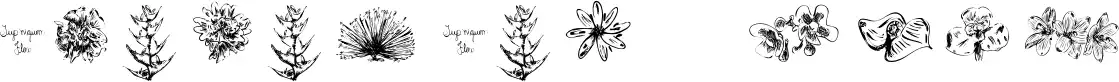 Tupiniquim Flora