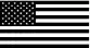 US Flag