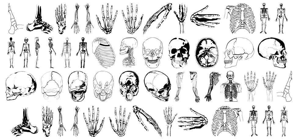 We Insidefont specimens